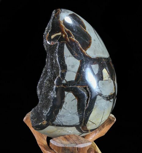Septarian Dragon Egg Geode - Black Crystals #72052